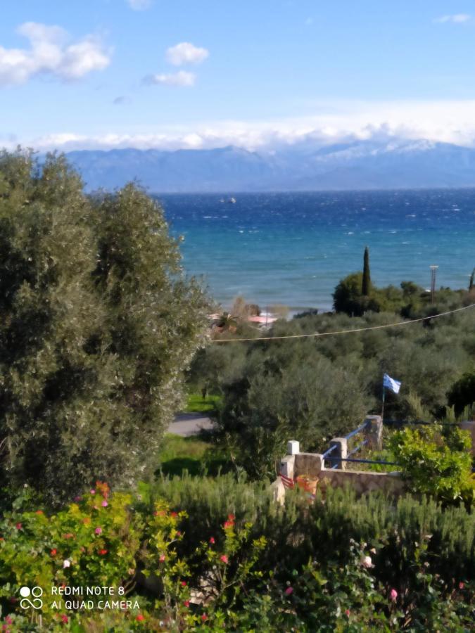 Villa Panorama Michalis Haikos Two Minutes Walk To The Beach Peroulia Kómboi Extérieur photo